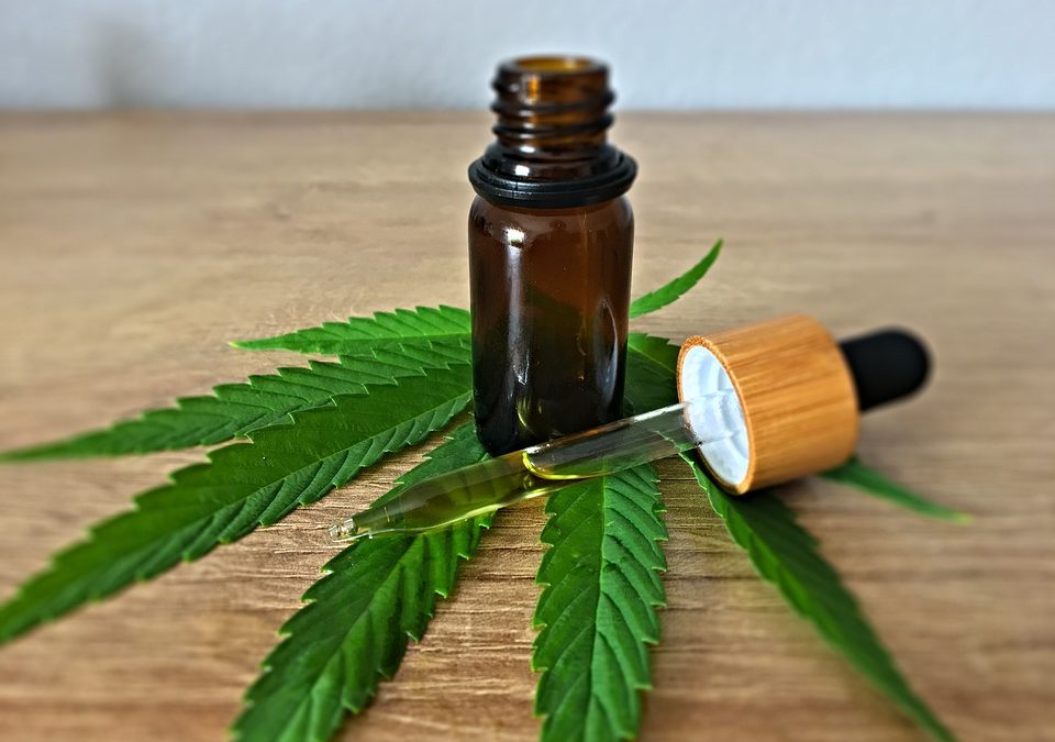 What is the difference between cbd oil and hemp oil