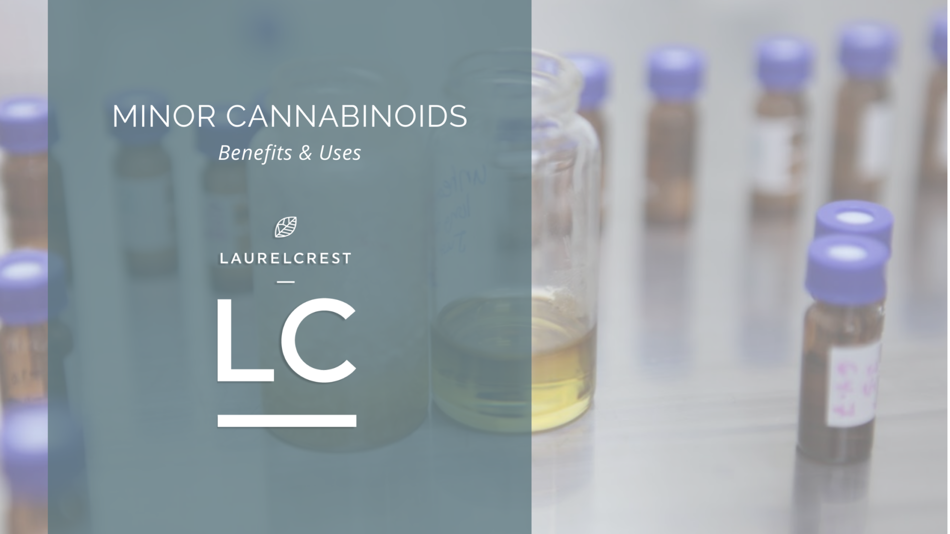 How Long Does It Take For Cbc Oil To Relieve Pain - Cbd|Oil|Cbc|Benefits|Effects|Pain|Thc|Products|Health|Study|Cannabinoids|Cannabis|Anxiety|Studies|Hemp|Research|Symptoms|People|Treatment|System|Plant|Body|Inflammation|Product|Evidence|Receptors|Cancer|Side|Effect|Properties|Brain|Dose|Disease|Marijuana|Cannabidiol|Disorders|Cannabinoid|Way|Relief|Cells|Cbd Oil|Cbc Oil|Cbd Products|Side Effects|Endocannabinoid System|Chronic Pain|Cannabis Plant|Pain Relief|Cbd Oil Benefits|Cannabis Oil|Health Benefits|Multiple Sclerosis|Hemp Plant|Anti-Inflammatory Properties|Blood Pressure|Entourage Effect|Neuropathic Pain|Cbd Product|Hemp Oil|Full-Spectrum Cbd Oil|Nervous System|Hemp Seed Oil|High Blood Pressure|Immune System|Cbd Gummies|Cannabis Oil Benefits|Drug Administration|Anxiety Disorders|Dravet Syndrome|Lennox-Gastaut Syndrome