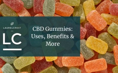 CBD Gummies: Uses, Benefits & More