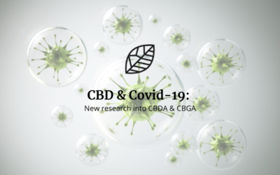 How CBD Can Help Against COVID-19