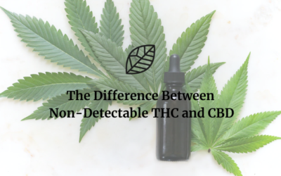 What is the Difference Between Non-Detectable THC and CBD?